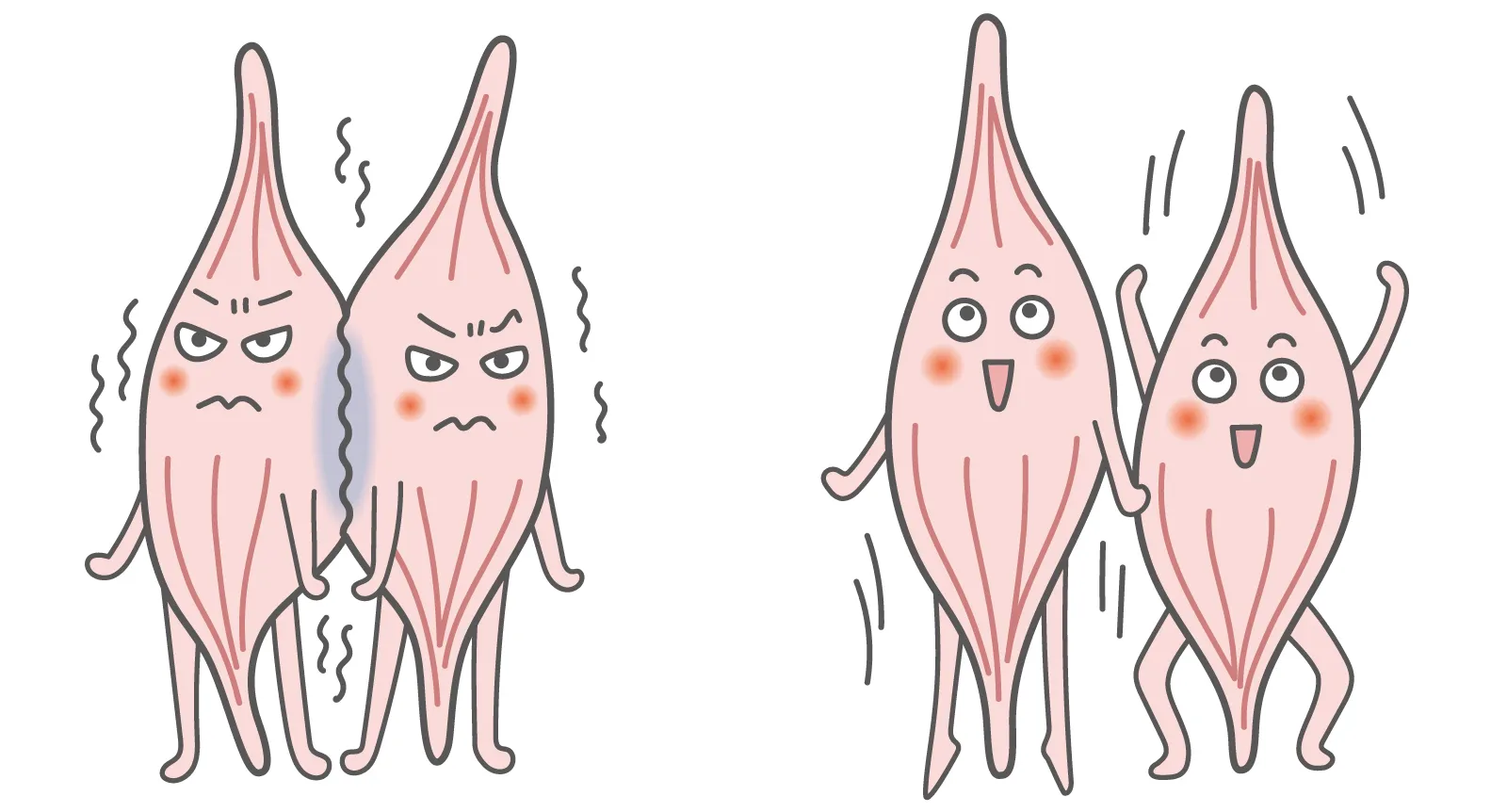 川崎宮前の「つちはし整骨院」で行う筋膜リリースって?